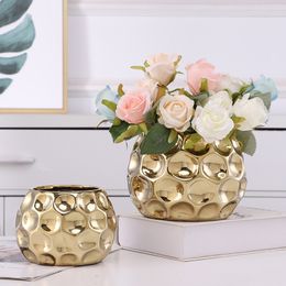 Vases Style nordique Highgrade doré Phalaenopsis pot de fleurs argent herbe charnue ameublement Vase à fleurs l230425