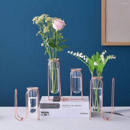 Vases Nordic Style Decoration Home Simple Modern Iron Art Hydroponic Vase Vase Creative Desktop Garden Decorative Flower Cadeaux