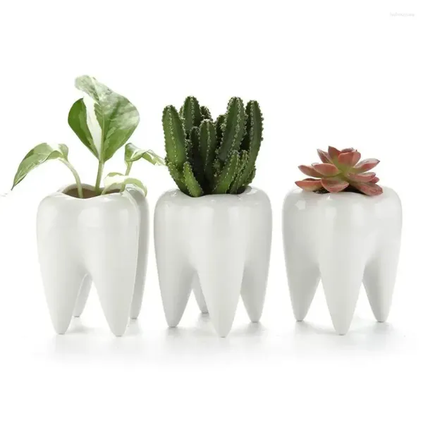 Vases Style nordique Succulent Plante en pot Pure Pure Paute de stylo céramique Pot de la maison de la maison dentaire en forme de dent