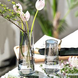 Vases Style nordique Vase Transparent Terrarium Cristal décor minimaliste hydroponique luxe décoration Para El Hogar accessoires pour la maison