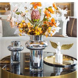 Vases Nordic terrarium placage argent pour les fleurs ornements à la maison décoration de salon arrangement de fleurs accessoires