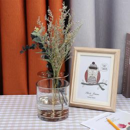 Vazen Noordse vaas creatief tafelblad eenvoudige interieurtest Jardiniere Transparante thuiscontainer Hydroponische decoratie Bloemen buis