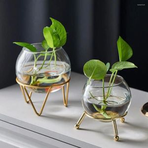 Vazen ornamenten huizendecoratie ijzer kunst sferische vorm hydrocultuur vaas bloemstuk glazen plant pot