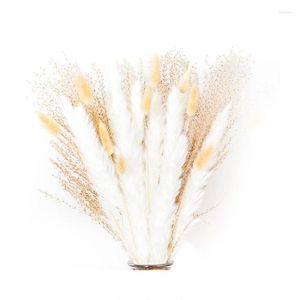 Vazen Pampas Grass Decor 35 PC Natural Vase Floral Arrangement of Wedding and Fall Bouquet