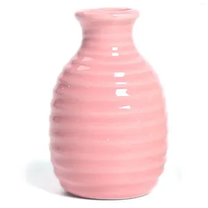Vases Vases Hydroponic Ceramic Vase Propagation Terrarium pour le décor de bureau d'appartements à domicile