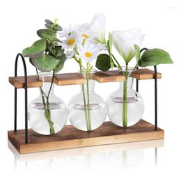 Station de propagation des plantes avec des stations de bureau terrarium en bois