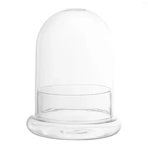 Vases Plant Protector Cover Plastic Cloche Dome Terrarium Bell Bott Bottle For Garden