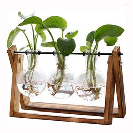 Vases Plant Terrarium avec du support en bois Planteur à air