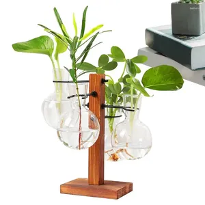 Vazen planten terrarium met houten standaard glas plantenbak bol vaas hydrocultuur luchthouder voor tulet tafelkast huizendecoratie