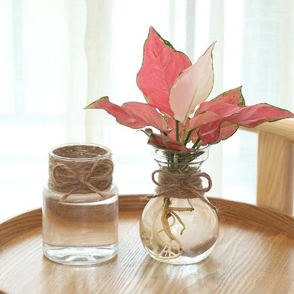 Vases Pot Décors Fleur Jardin Décoration Clair Bouteille En Verre Vase Bureau Plante Salle Jacinthe Maison Vivant Ornements Transparents