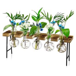 Vazen Voortplantingsstations Desktop Luchtplantenterrarium Glazen plantenbak Glazen vaas met houten standaard - Plantenterrarium YQ240117