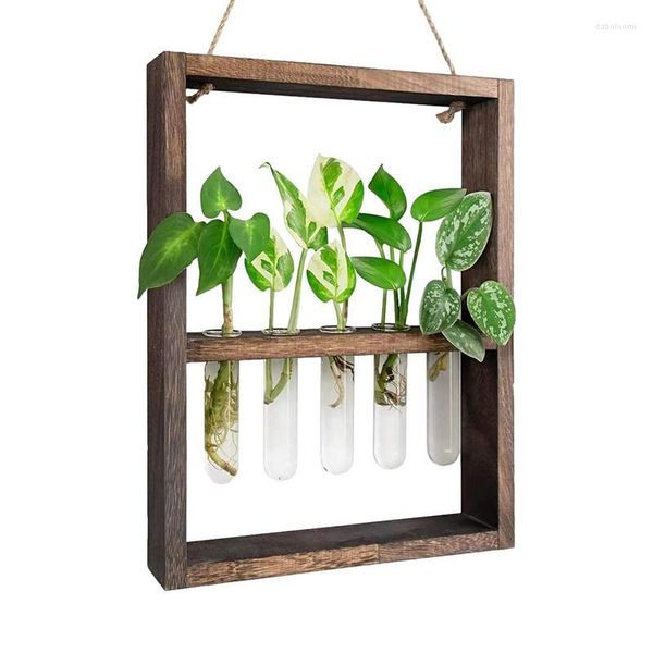 Vases Propagation Stations Tabletop Glass Terrarium Hanger Wall With 5 Test Tube Flower Bud