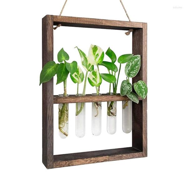 Vases Stations de propagation Vase en verre mural Plante Maison Cintre Support en bois avec 5 tubes à essai