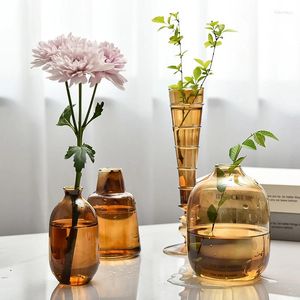 Vazen retro glazen vaas Plant Hydroponic Terrarium Desktop Crafts Diy Bottle Flower Arrangement Decoratie