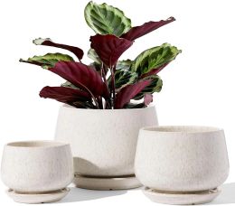 Ensemble de vases de 3 planteurs en céramique avec trou de drainage et soucoupe, pot à fleurs intérieur avec coussin de maille de trous, cadeaux pour maman, glaçage réactif beige