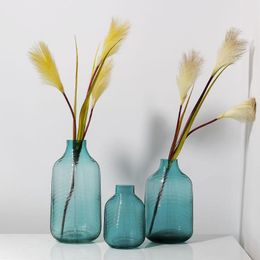 Vases Simple Couleur Petite Bouche Vase En Verre Transparent Hydroponique Arrangement De Fleurs Maison Salon Décorations