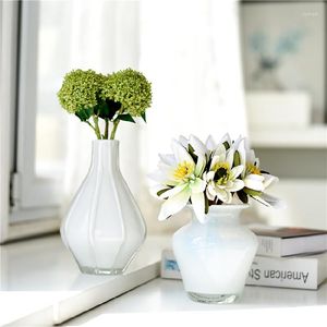 Vases Simple moderne blanc petite Table à manger fraîche Vase en verre fleur sèche lavage affichage ornements créatifs