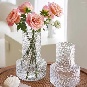 Vazen eenvoudige transparante bloem vaas huisdecor moderne stijl woonkamer decoratie glazen ambachten hydrocultuur tuin ornament cadeau