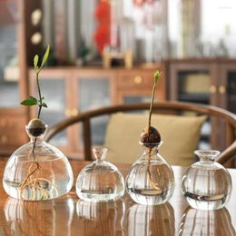 Vases Simple Transparent Glass Avocado Vase Hydroponics Seed Starter Starter Plant Bottle Kit Gift