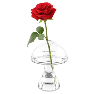 Vases petit vase en verre décoratif décoration de maison de fleurs jardinière terrarium table ornements de champignons séchés