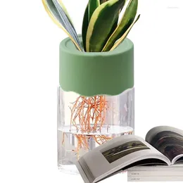 Vases Small Indoor Plant Pot Round Propagation Jar Femmes Hommes Hydroponic Pots simples pour les plantes Compact