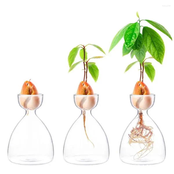 Vases Stickers Gardening Lovers Transparent Seed Cultiver Kit Kit Glass Vase Starter pour