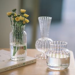 Vases Rayé Simple Vase En Verre De Mode Hydroponique Décoration De La Maison Bureau Salon 230731