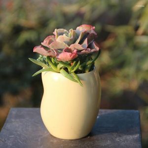 Vazen Vetplanten Pot Keramiek Kleine Gele Boonvormige Ronde Creatieve Mini Leuke Bloem Succulente Plantenbak Woondecoratie