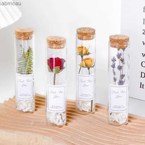Vases transparent en verre en verre vase arrangement de fleurs séchées pot en verre décor de salon hydroponique bouteille de terrarium à la maison décor de jardin