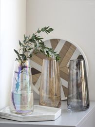 Vases en verre transparent pour bouteille de plante Pot de fleur nordique créatif hydroponique Terrarium arrangement conteneur Table Vase