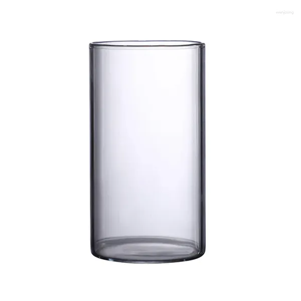 Vases en verre transparent Vase Hydroponic Vase MODER