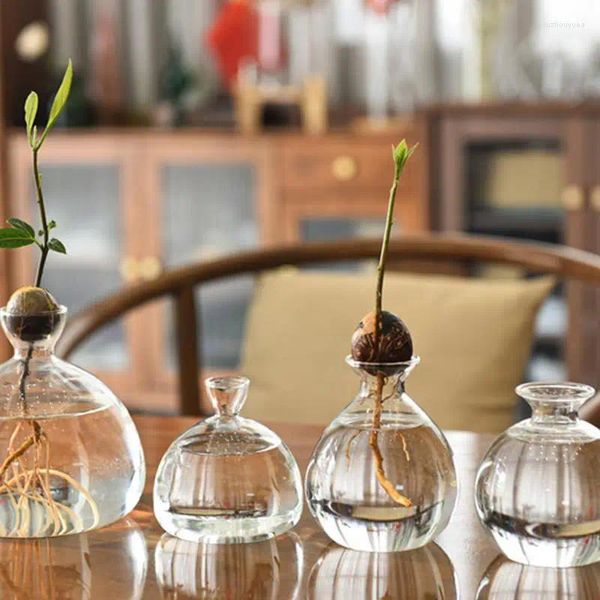 Vases transparent en verre Vase Avocado Seed Starters Kit de culture Kit pour les amoureux des cadeaux DÉCOR