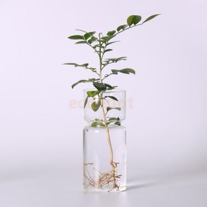 Vases Transparent Jacinthe Verre Vase Fleur Planteur Pot DIY Terrarium Conteneur Décor
