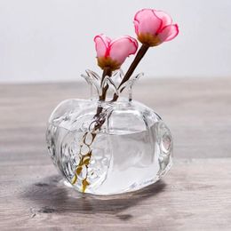 Vazen transparant granaatappelglas vaas creatief rood fruit handgemaakt hydrocultuur bloem thuisdecor