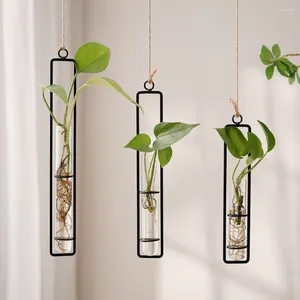 Vazen transparante testbuis bloem pot wand hangend verdikte glazen vaas Noordse planter groene plant