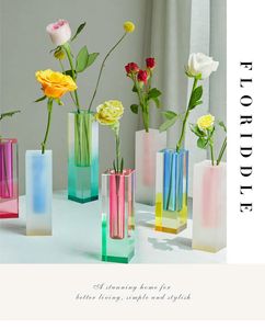 Vazen vazen ​​creatieve Noordse acryl kleur vaas vierkante kolom glazen bellenbloem kan worden ingebracht gedroogde bloemen kunnen hydroponisch cadeau va zijn