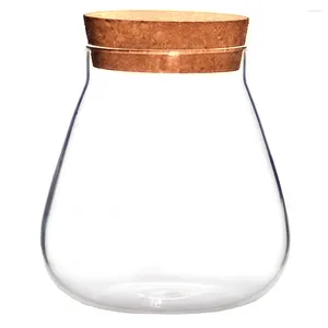 Vazen vaten kurk glazen fles bubbelkom opslagpot sappige eco reizen terrarium