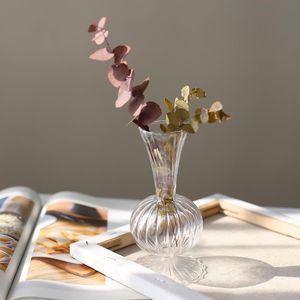 Vazen Vintage Glass Vaas met transparante bruine Noordse bloemen Eenvoudige tafelkunst ingevoegd in decoratief hydrocultuur Decor