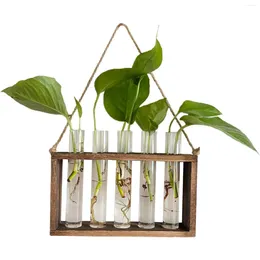 Jarrones Vintage Hanging Planteros transparentes Terrario de planta en forma de tubo retro para el regalo de los entusiastas de la jardinería