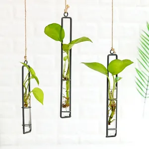 Vases Cadre en bois suspendu Vase en verre salon mur pendentif hydroponique fleur plante conteneur décoration de la maison