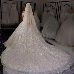 Veils Champagne Long Vele Bridal avec Bling, 3m Sparkle Cathedral Wedding Veil with Peigl pour la mariée