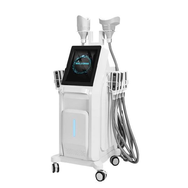 Vertical 360 grados Cryo Cool eliminación de celulitis crioterapia pérdida de grasa equipo de belleza máquina de adelgazamiento criogénico congelación de grasa