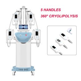 Verticale Cryolipolysis Freeze Machines Vetverlies Apparaat Dubbele Kinverwijdering Lipo Lichaam Afslank Machine voor Salons