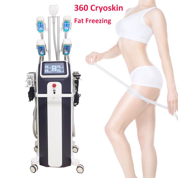 Cryolipolyse verticale Graisse gel minceur machine cryo peau laser lipo cavitation rf réduction de graisse perdre du poids Dispositif DHL Free Ship