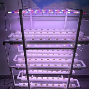 Hydroponics verticales Sistema de crecimiento Familia Torre de plantación de jardines de granja 108 Sitios Plantas de caja aeropónica Fram