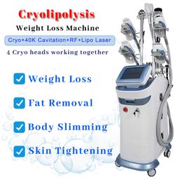 Verticale Laser Lipo Afslankmachine Cryotherapie Cryolipolyse Vetbevriezing Multifunctionele apparatuur 40k Cavitatie Gewichtsverlies 4 Cryo-hoofden die samenwerken