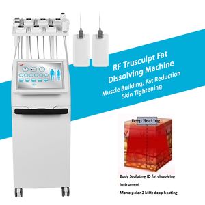 Verticale radiofrequentie Trusculpt Monopolaire Rf Lichaamsbeeldhouwen Vetoplossende Trusculpt Ems Flex Rf Huidverstrakking Machine