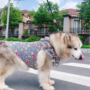 Gilets été grand chien gilet chemise petit chien vêtements Schnauzer caniche Schnauzer Corgi Samoyède Husky Golden Retriever grand chien vêtements