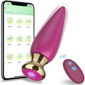 Bluetooth Anal Vibrateur Sans Fil APP À Distance Plug Anal Sex Toy Pour Hommes Femmes G-spot Gode Vibrateur Butt Plugs Prostate Masseur 231128