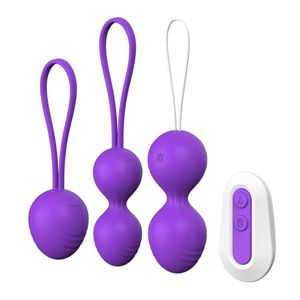 Vibrateurs d'exercice vaginal féminin Haltère Chargement USB Multi-fréquence Télécommande sans fil Oeuf sautant Ensemble de boules intelligentes pour usage adulte